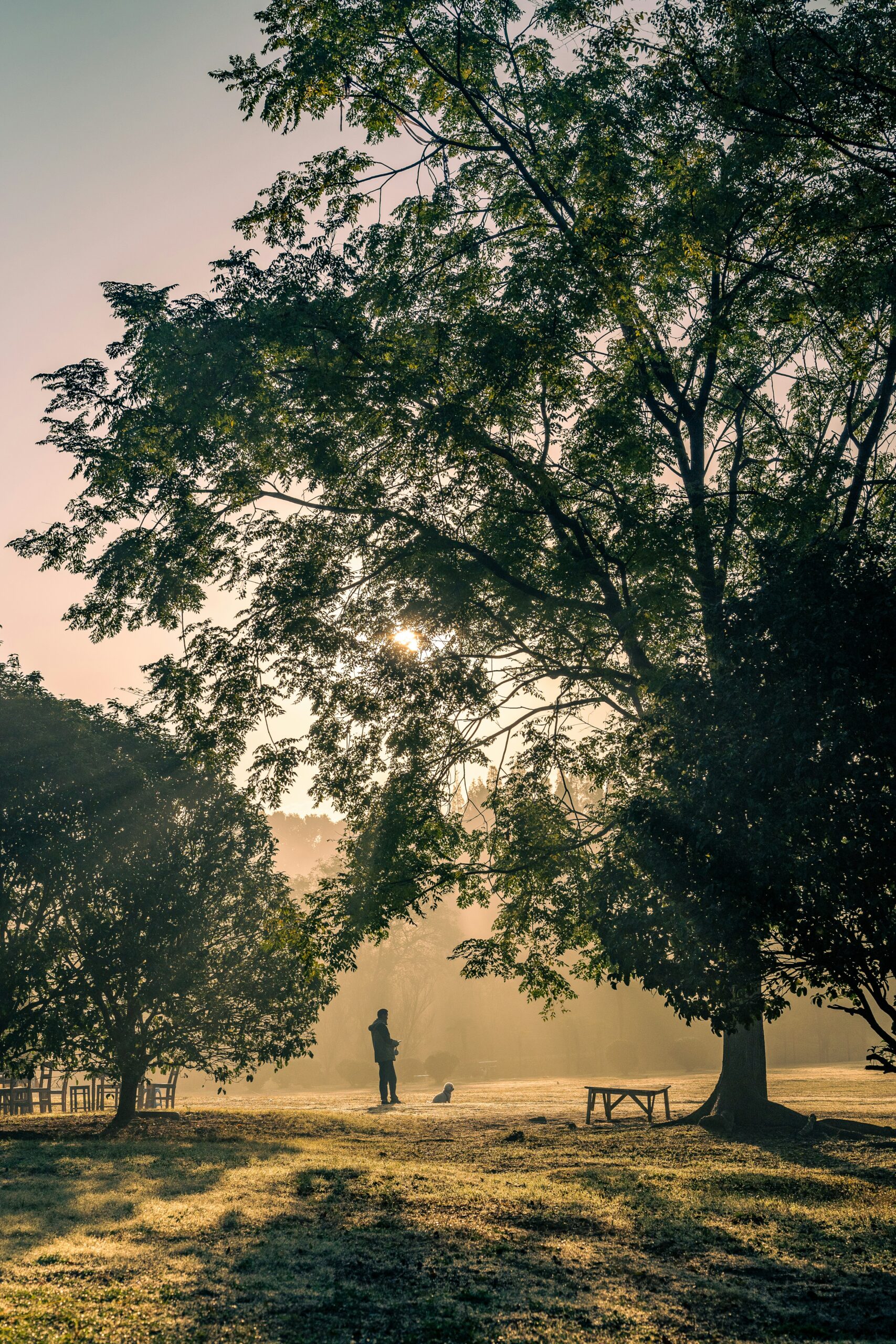 morning photo